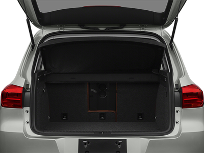 2013 Volkswagen Tiguan S