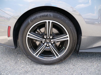 2025 Ford Mustang Base
