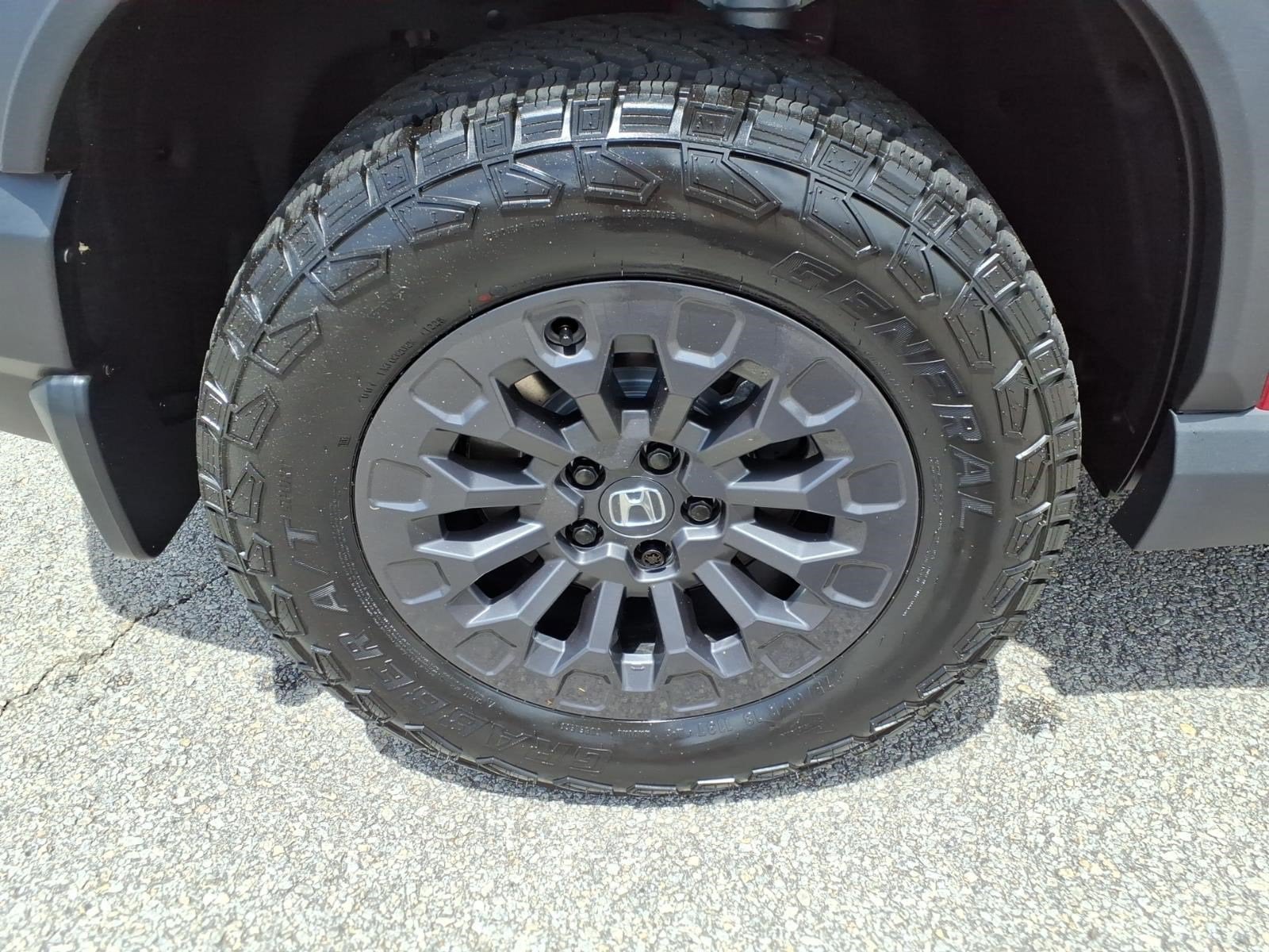 2026 Honda Passport TrailSport