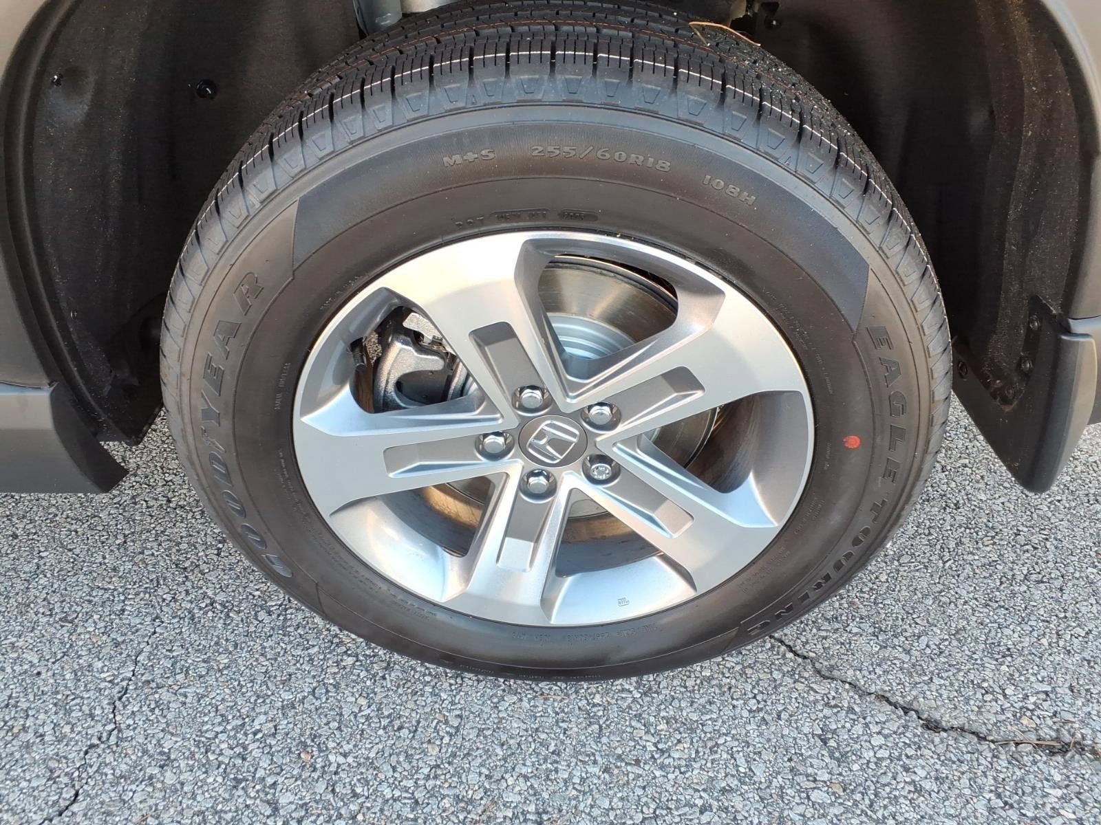 2025 Honda Pilot EX-L