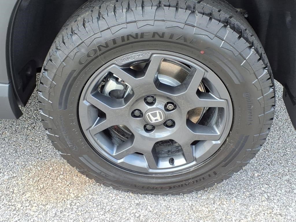 2025 Honda Pilot TrailSport