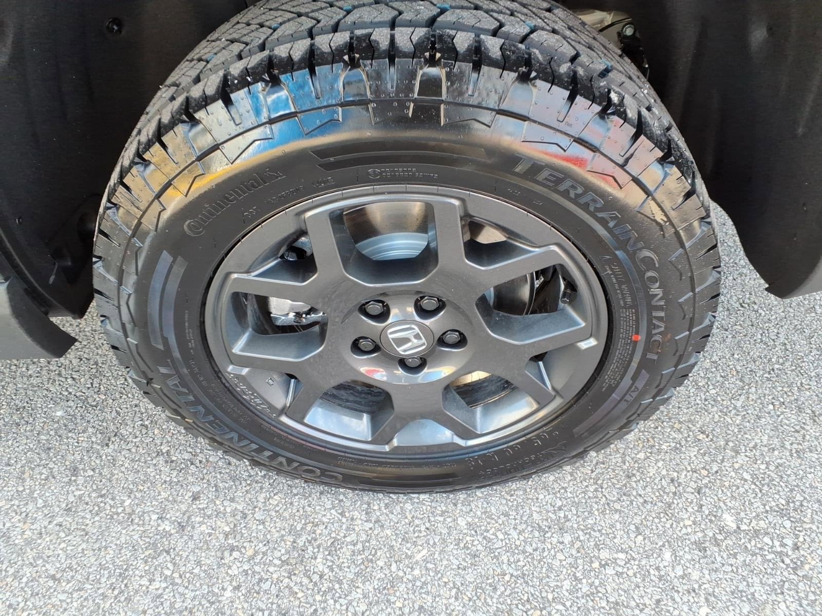 2025 Honda Pilot TrailSport