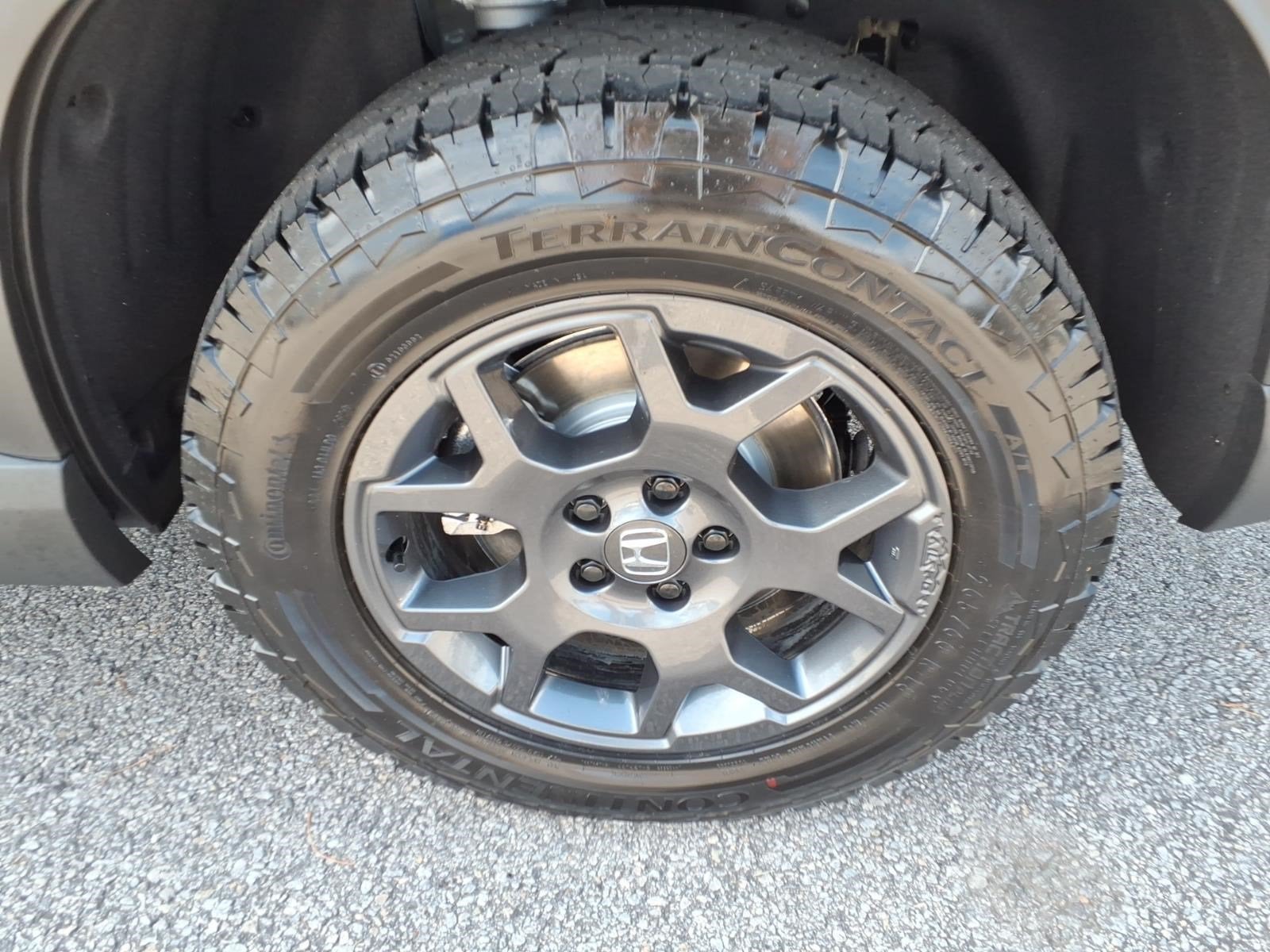2026 Honda Pilot TrailSport