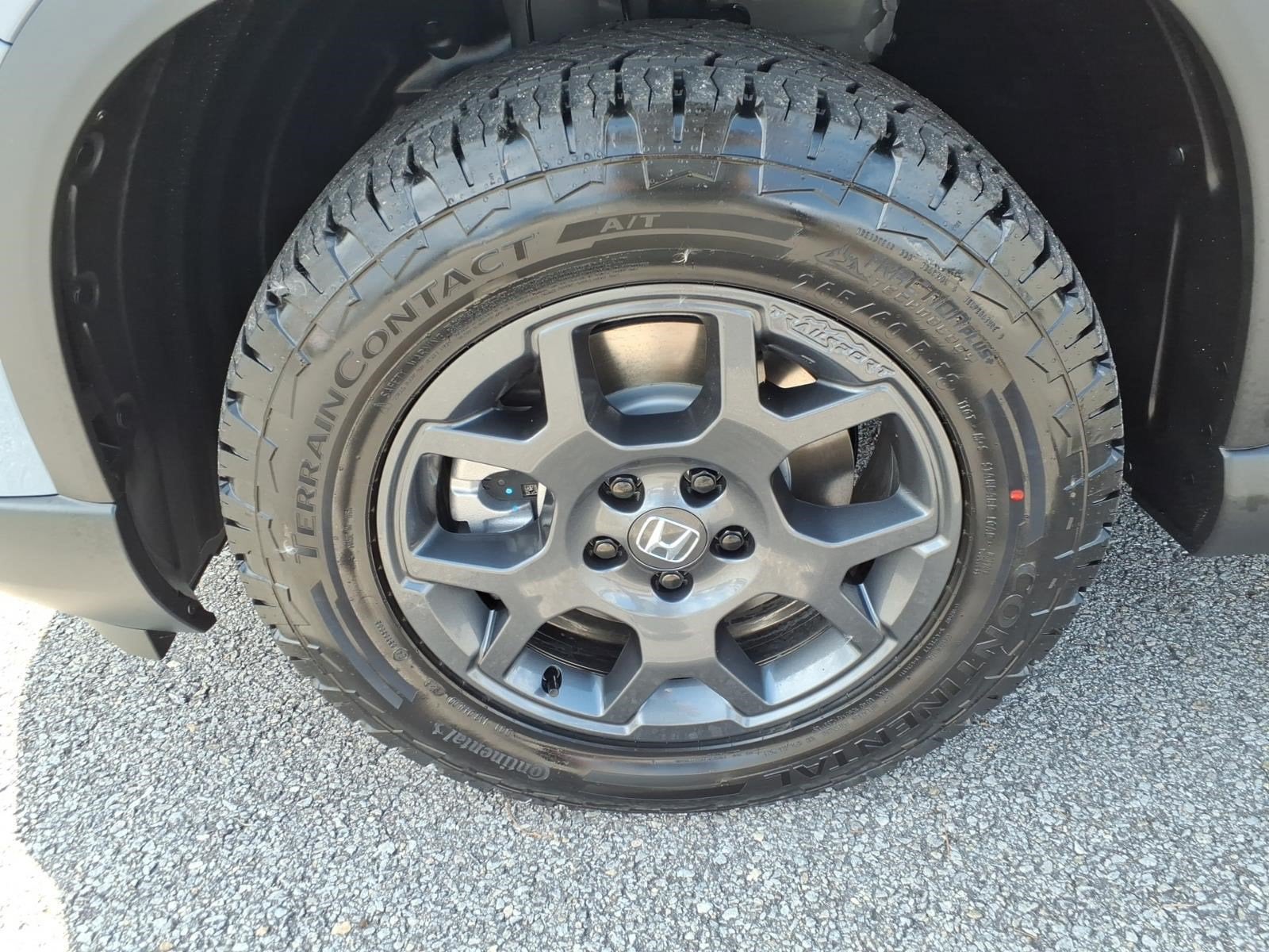 2026 Honda Pilot TrailSport